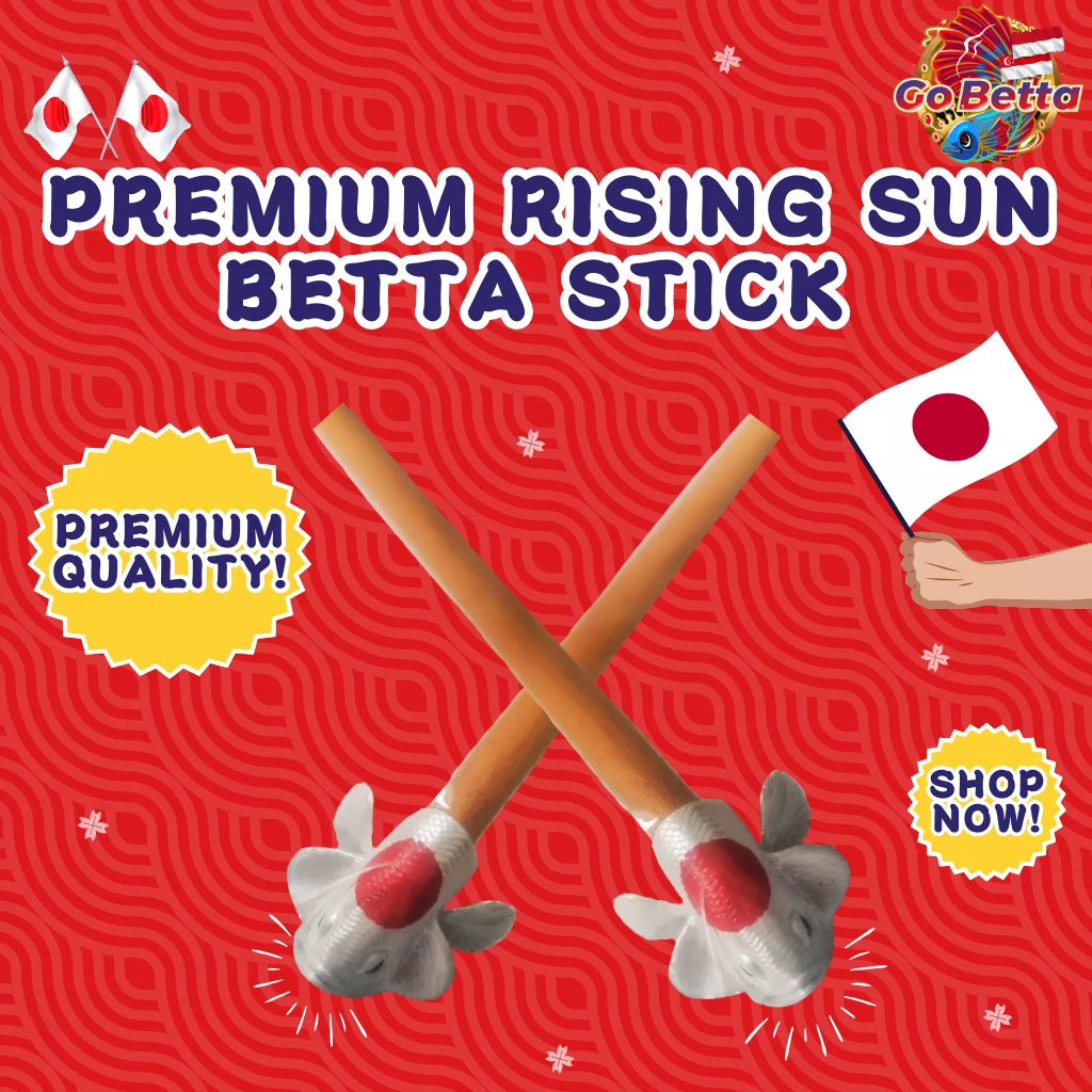 🐟 JAPAN RED WHITE LIMITED EDITION BETTA FLARE STICK 🐟 Premium Training Tool for Betta Enthusiasts Boost Fish Health Fins