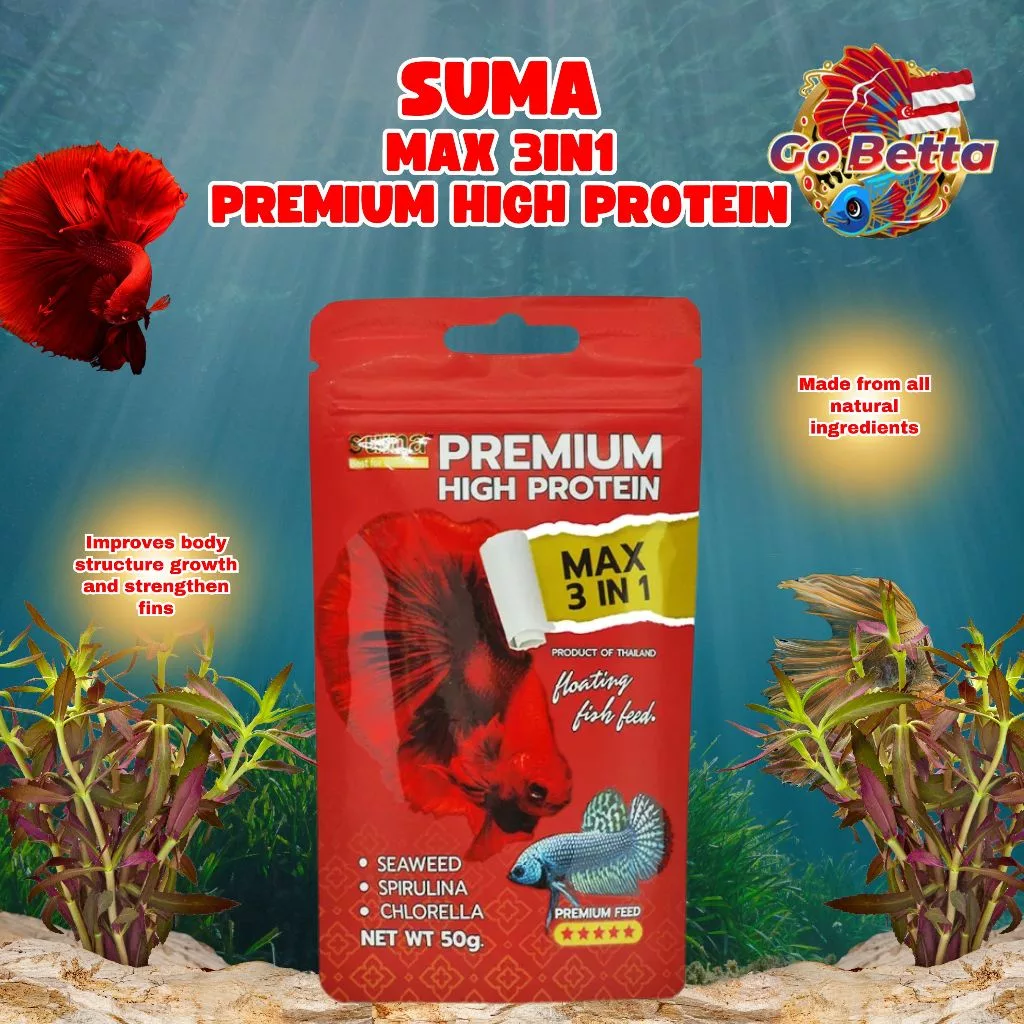 🇸🇬 SUMA – LARGE PELLET PREMIUM HIGH PROTEIN BETTA FEED MAX 3 IN 1 (50 G) | FRESH STOCKS