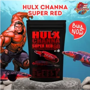 🇸🇬 HULX Channa Super Red – Enhance Stunning Red Coloration | Premium Feed for Channa Fish | 250g & 500g Options