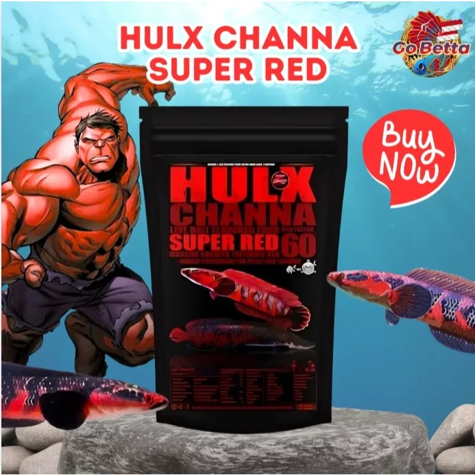 🇸🇬 HULX Channa Super Red – Enhance Stunning Red Coloration | Premium Feed for Channa Fish | 250g & 500g Options