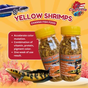 Premium Dried Yellow Shrimp 20g Ideal Predator Fish Food Perfect for Channa Yellow Sentarum High-Quality, Nutrient-Rich