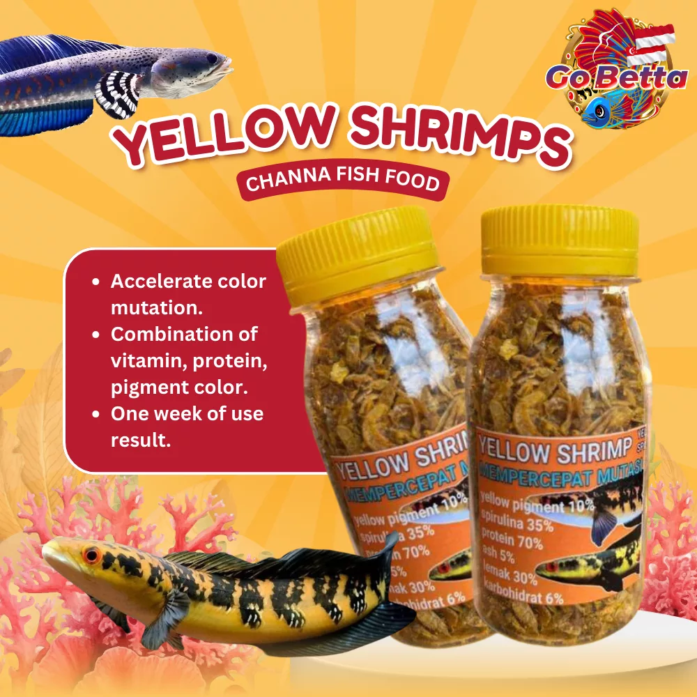 Premium Dried Yellow Shrimp 20g Ideal Predator Fish Food Perfect for Channa Yellow Sentarum High-Quality, Nutrient-Rich