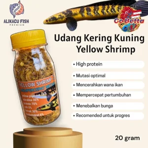 Premium Dried Yellow Shrimp 20g Ideal Predator Fish Food Perfect for Channa Yellow Sentarum High-Quality, Nutrient-Rich