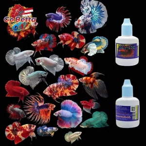 🇸🇬 SUMA BLADE ENHANCES BETTA FISH BEAUTIFUL SHINY COLOR 12 ML SUPPLEMENT  | FRESH STOCKS DIRECTLY FROM MANUFACTURER