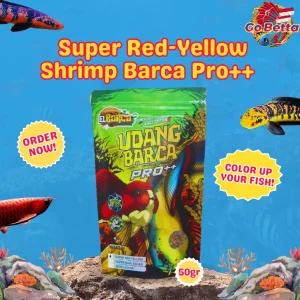 High Protein Dried Shrimp Pro++ Red Yellow Booster for Baby Fish 5-20CM | El Barca Growth Feed for Betta, Guppy, Goldfis