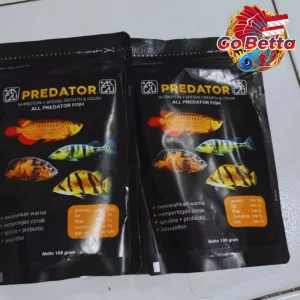 Fish Food Predator BASIC FEED High Protein 60% | Growth Support, Color Boost & Immunity Formula for Arowana Oscar Channa