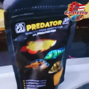 Fish Food Predator BASIC FEED High Protein 60% | Growth Support, Color Boost & Immunity Formula for Arowana Oscar Channa
