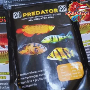 Fish Food Predator BASIC FEED High Protein 60% | Growth Support, Color Boost & Immunity Formula for Arowana Oscar Channa