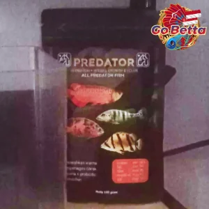 Fish Food Predator BASIC FEED High Protein 60% | Growth Support, Color Boost & Immunity Formula for Arowana Oscar Channa
