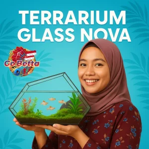 NOVA Geometric Glass Terrarium 32.5x12x17cm 3mm Thick Handmade DIY Glass Enclosure for Plants Succulents Premium Display