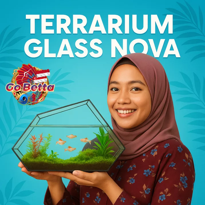 NOVA Geometric Glass Terrarium 32.5x12x17cm 3mm Thick Handmade DIY Glass Enclosure for Plants Succulents Premium Display