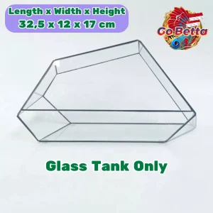 NOVA Geometric Glass Terrarium 32.5x12x17cm 3mm Thick Handmade DIY Glass Enclosure for Plants Succulents Premium Display