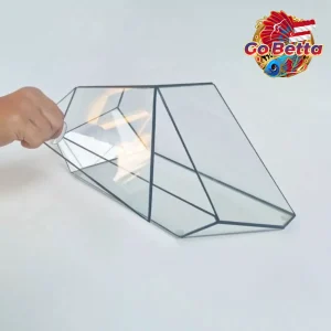 NOVA Geometric Glass Terrarium 32.5x12x17cm 3mm Thick Handmade DIY Glass Enclosure for Plants Succulents Premium Display