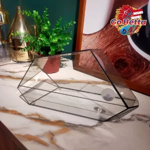 NOVA Geometric Glass Terrarium 32.5x12x17cm 3mm Thick Handmade DIY Glass Enclosure for Plants Succulents Premium Display