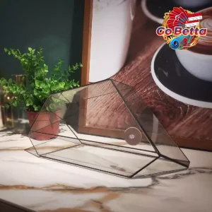 NOVA Geometric Glass Terrarium 32.5x12x17cm 3mm Thick Handmade DIY Glass Enclosure for Plants Succulents Premium Display
