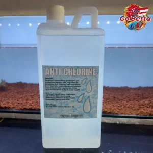 Anti Chlorine 1 Liter – Chlorine Remover for Aquarium & Pond Water, Neutralizes Chlorine & Toxins, Safe for Fish & Plant