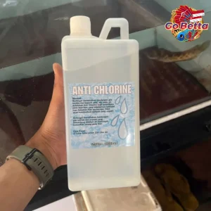 Anti Chlorine 1 Liter – Chlorine Remover for Aquarium & Pond Water, Neutralizes Chlorine & Toxins, Safe for Fish & Plant