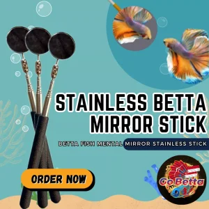 SG Seller Betta Mirror Stick Betta Fish Stick – Stainless Steel Cermin Cupang Mental Stik Ikan Cupang – Stainless Steel