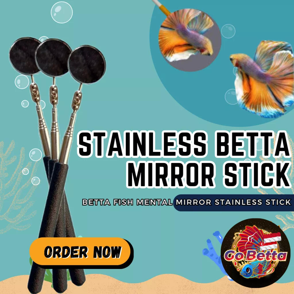 SG Seller Betta Mirror Stick Betta Fish Stick – Stainless Steel Cermin Cupang Mental Stik Ikan Cupang – Stainless Steel