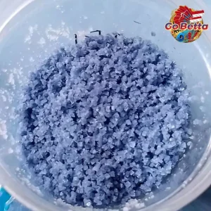 SG Seller PREMIUM FISH BLUE SALT SPECIALTY FOR BETTA FISH 500 GR AQUARIUM SALT BETTA SHOP BETTA STORE BETTA SINGAPORE