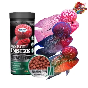 Insect Inside Flowerhorn Fish Food – Enhance Growth & Vibrant Colors | Probiotic Enriched Pellets for Health | 100g Pack