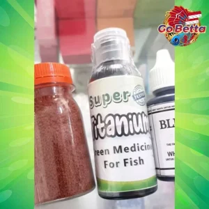 🇸🇬 Premium Betta Fish Treatment – Green Titanium Medicine for Healing & Care – Effective & Safe Solution