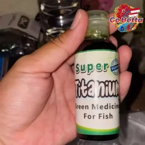 🇸🇬 Premium Betta Fish Treatment – Green Titanium Medicine for Healing & Care – Effective & Safe Solution