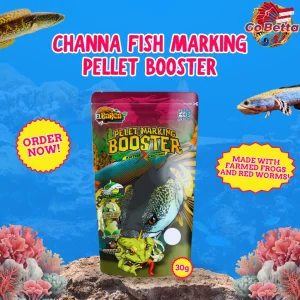 PELET MARKING Frog X Red Worm – Premium Floating Pellet for Channa Auranti & Predator Fish  High-Nutrient Feed 30g