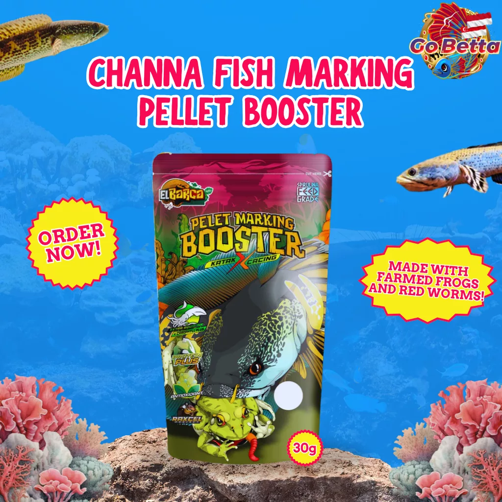 PELET MARKING Frog X Red Worm – Premium Floating Pellet for Channa Auranti & Predator Fish  High-Nutrient Feed 30g