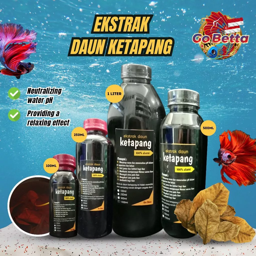 [SG Seller] PREMIUM KETAPANG Extract Sea CATTAPA Extract Ekstrak Daun Ketapang 100ml 250ml 500ml BETTA SHOP BETTA STORE