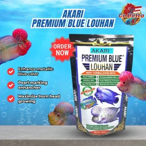 [SG Seller] Akari Premium Blue Louhan Pro 1mm Spirulina Pellets Fish Food Feed Channa Louhan Predator Fish