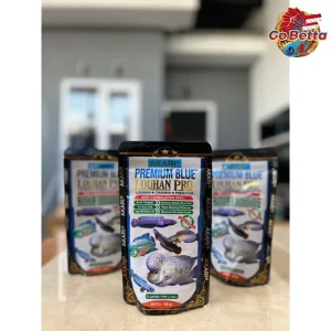 [SG Seller] Akari Premium Blue Louhan Pro 1mm Spirulina Pellets Fish Food Feed Channa Louhan Predator Fish