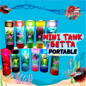 SG Seller Portable Handmade Cute Mini Betta Fish Tank Aquarium with Decoration for Betta Fish Small Fish Mini Betta Tank