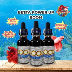 [SG Seller] BETTA POWER UP ” BOOM” / OBAT CUPANG ADU / BETTA FIGHTING AND FLARE MEDICINE BETTA SHOP BETTA STORE BETTA