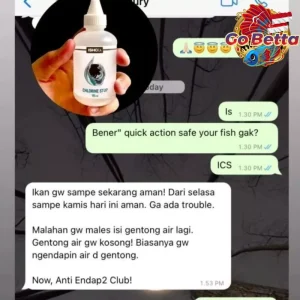 🇸🇬 ISHCO CHLORINE STOP ANTI-CHLORINE NEUTRALIZER OF WELL WATER ANTI KLORIN PENETRAL AIR SUMUR KAPORIT AQUARIUM IKAN