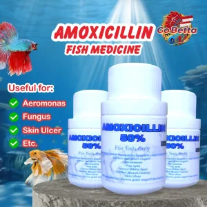 [SG Seller] FISH MEDICINE IKAN OBAT IKAN 10 GRAM LOHAN SHOP LOHAN STORE FISH SHOP LOHAN OUTLET LOHAN RETAIL LOHAN RETAIL
