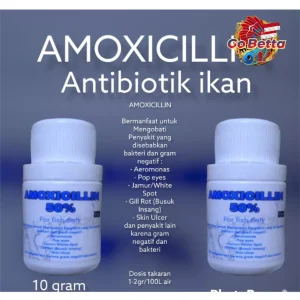 [SG Seller] FISH MEDICINE IKAN OBAT IKAN 10 GRAM LOHAN SHOP LOHAN STORE FISH SHOP LOHAN OUTLET LOHAN RETAIL LOHAN RETAIL