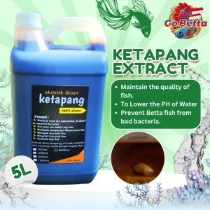 Premium Ketapang Super Black Extract 5L High-Quality, Nutrient-Rich Ideal for Betta, Channa, Arwana Fish Enhance Health