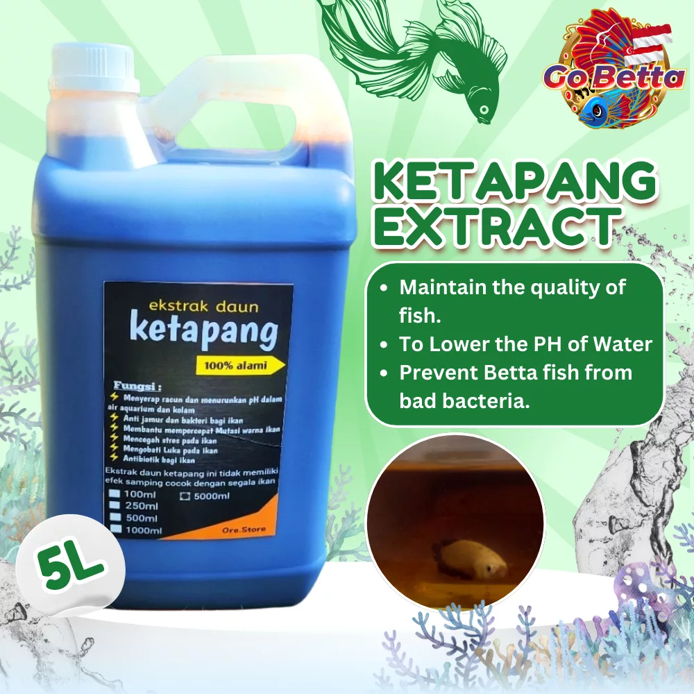 Premium Ketapang Super Black Extract 5L High-Quality, Nutrient-Rich Ideal for Betta, Channa, Arwana Fish Enhance Health