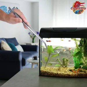 🇸🇬 25cm Aquarium Tweezers – Perfect for Aquascaping, Fish Feeding, Planting & Maintenance Tools | Durable & Precise