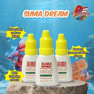 🇸🇬 SUMA DREAM 12 ML TO PREVENT TAIL BITES FROM TRANSPORTATION STRESS | FRESH STOCKS DIRECTLY FROM MANUFACTURER