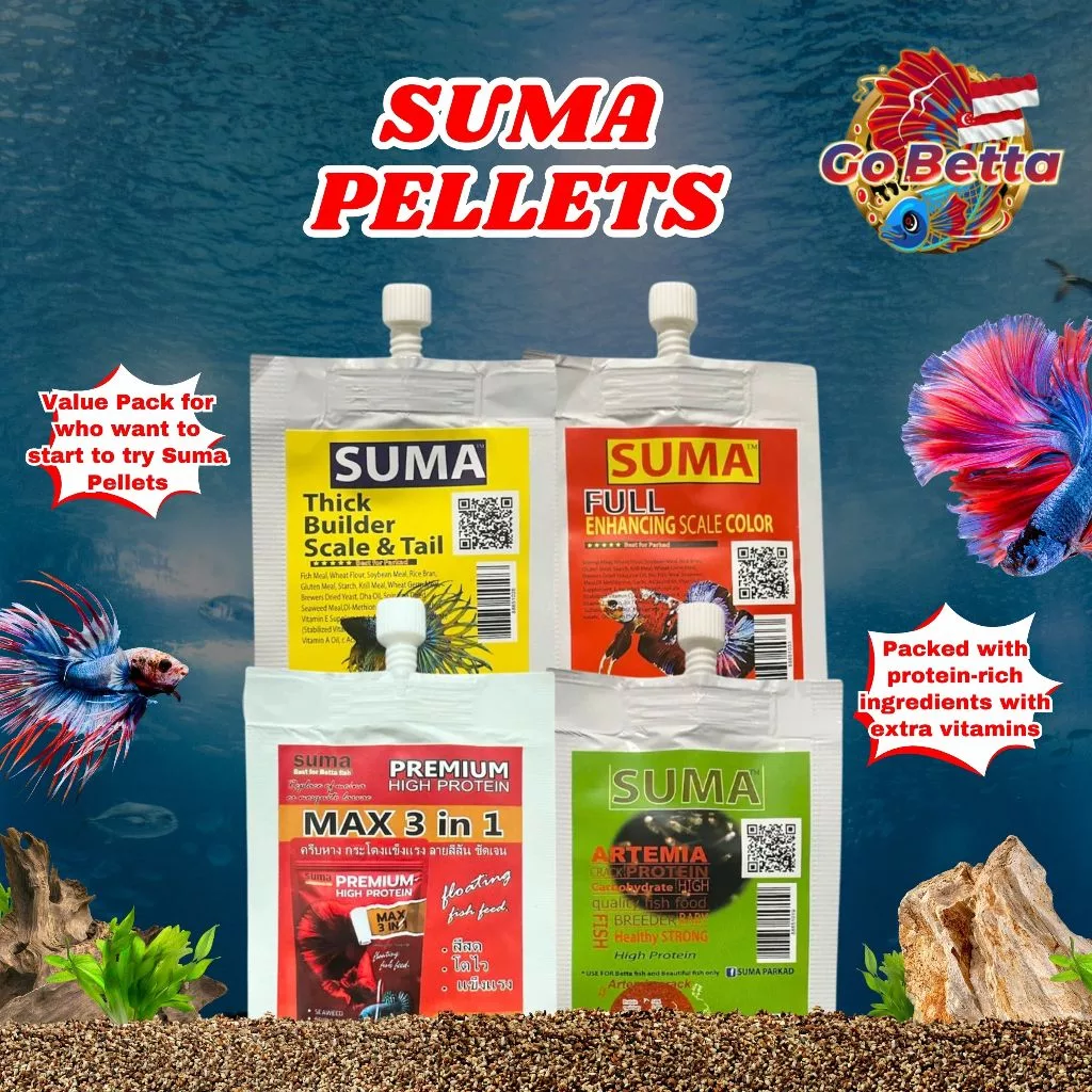 🇸🇬 SUMA PELLETS VALUE PACKAGE SUMA THICK BUILDER SCALE & TAIL SUMA FULL ENHANCING COLOUR SUMA ARTEMIA BETTA BABY FOOD