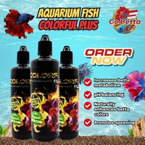 🇸🇬 AQUARIUM FISH COLORFUL PLUS WATER CONDITIONER BETTA COLOR ENHANCER 100 ML | AQUA KING THAILAND COLOURFUL PLUS BETTA