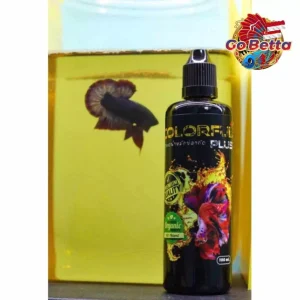 🇸🇬 AQUARIUM FISH COLORFUL PLUS WATER CONDITIONER BETTA COLOR ENHANCER 100 ML | AQUA KING THAILAND COLOURFUL PLUS BETTA