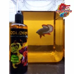 🇸🇬 AQUARIUM FISH COLORFUL PLUS WATER CONDITIONER BETTA COLOR ENHANCER 100 ML | AQUA KING THAILAND COLOURFUL PLUS BETTA