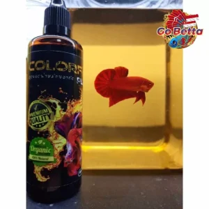 🇸🇬 AQUARIUM FISH COLORFUL PLUS WATER CONDITIONER BETTA COLOR ENHANCER 100 ML | AQUA KING THAILAND COLOURFUL PLUS BETTA