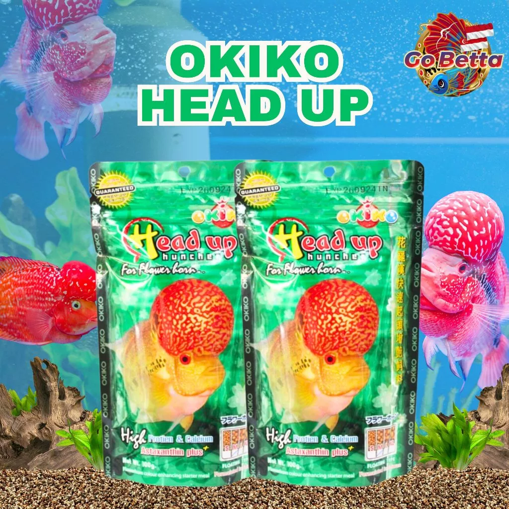 🇸🇬 Okiko Head Up Huncher – Enhance Flowerhorn Head Growth & Vibrant Colors | High Protein Floating Pellets 100g 🐟✨