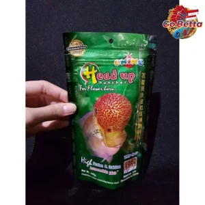 🇸🇬 Okiko Head Up Huncher – Enhance Flowerhorn Head Growth & Vibrant Colors | High Protein Floating Pellets 100g 🐟✨
