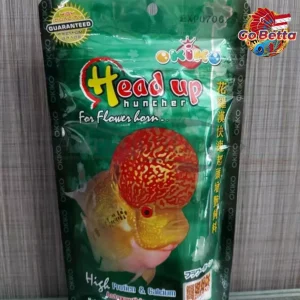 🇸🇬 Okiko Head Up Huncher – Enhance Flowerhorn Head Growth & Vibrant Colors | High Protein Floating Pellets 100g 🐟✨