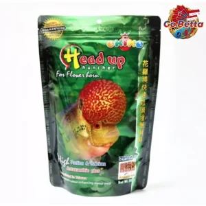 🇸🇬 Okiko Head Up Huncher – Enhance Flowerhorn Head Growth & Vibrant Colors | High Protein Floating Pellets 100g 🐟✨